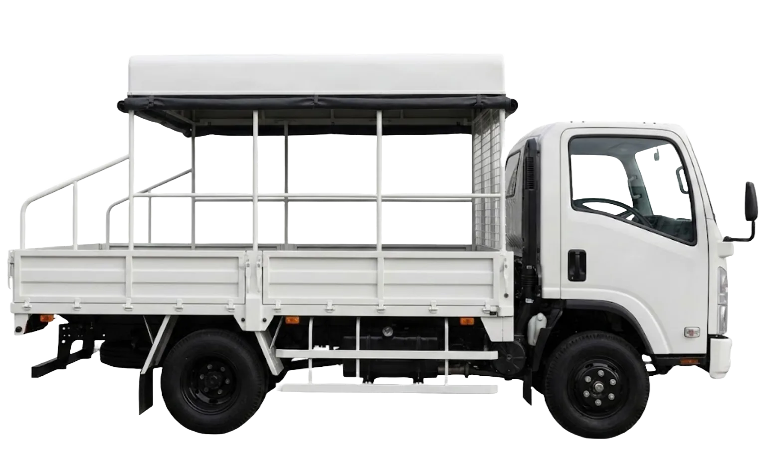Isuzu Dropside with Canopy